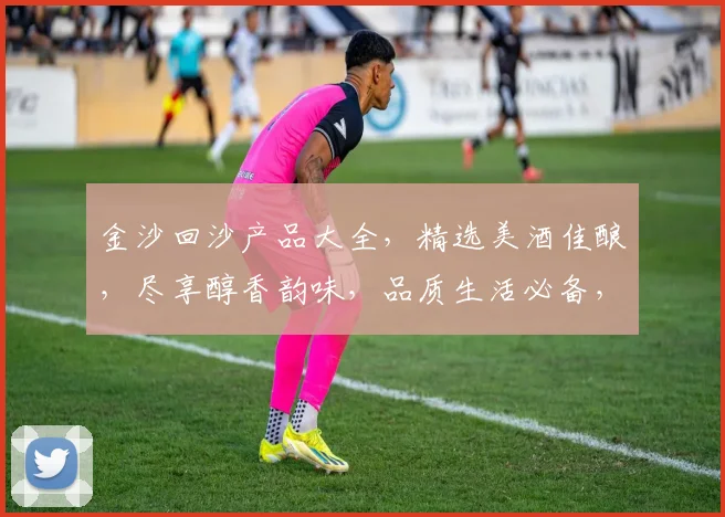 金沙回沙产品大全，精选美酒佳酿，尽享醇香韵味，品质生活必备，三款佳品，品味非凡。