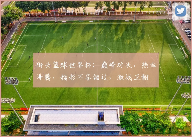 街头篮球世界杯：巅峰对决，热血沸腾，精彩不容错过，激战正酣
