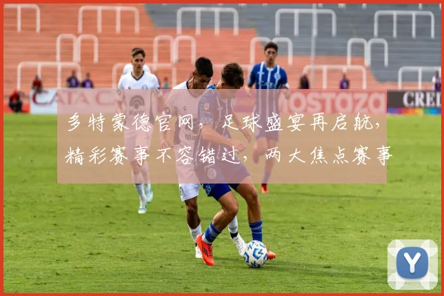 多特蒙德官网，足球盛宴再启航，精彩赛事不容错过，两大焦点赛事同步开战