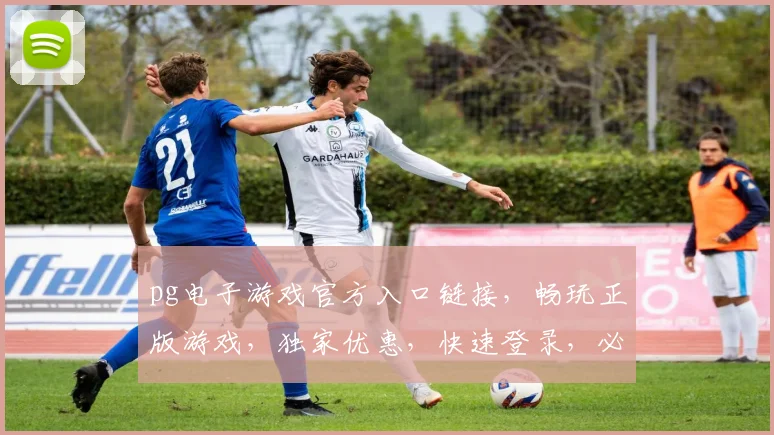pg电子游戏官方入口链接，畅玩正版游戏，独家优惠，快速登录，必看三步