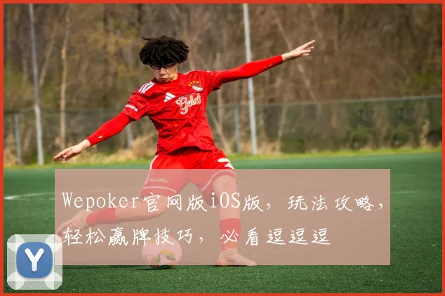 Wepoker官网版iOS版，玩法攻略，轻松赢牌技巧，必看逗逗逗