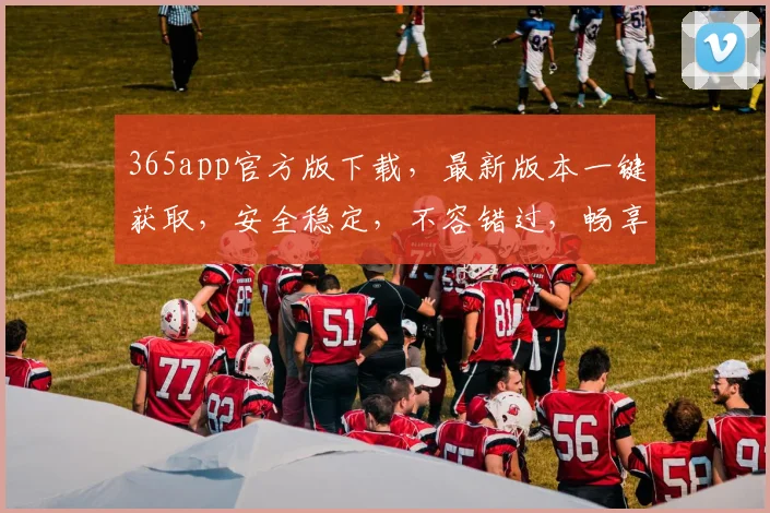365app官方版下载，最新版本一键获取，安全稳定，不容错过，畅享便捷生活