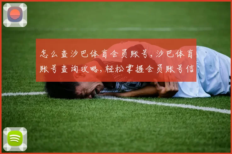 怎么查沙巴体育会员账号,沙巴体育账号查询攻略,轻松掌握会员账号信息