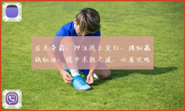 龙虎争霸，押注风云变幻，揭秘赢钱秘诀，稳中求胜之道，必看攻略