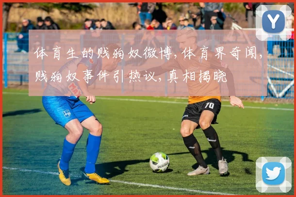 体育生的贱狗奴微博,体育界奇闻,贱狗奴事件引热议,真相揭晓